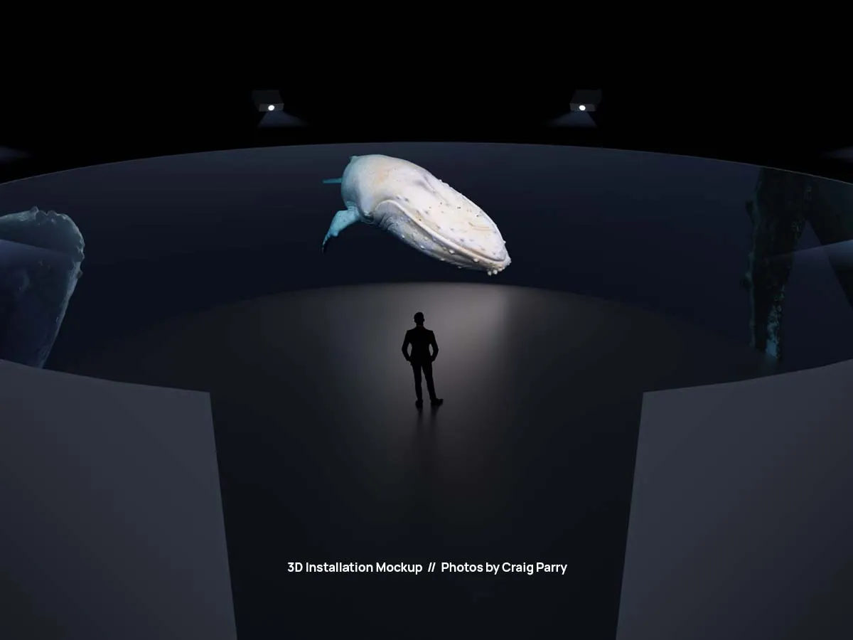 Migaloo installation mockup — photography by Craig Parry
